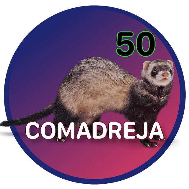 Ganador Ahora